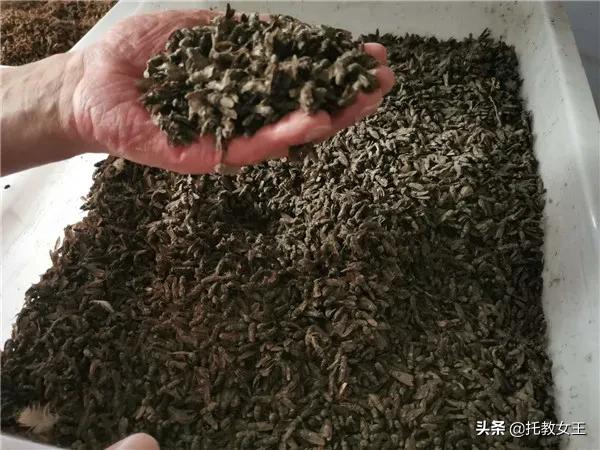 富硒低胆固醇鸡蛋(胆固醇鸡蛋低富硒能吃吗)-硒宝网