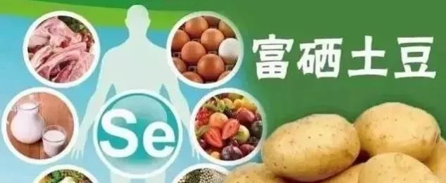 哪种有机硒最好（最好吸收的硒片有哪些） - 硒宝网
