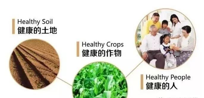 哪种有机硒最好（最好吸收的硒片有哪些） - 硒宝网