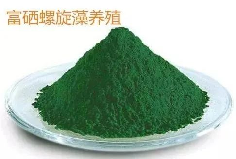 哪种有机硒最好（最好吸收的硒片有哪些） - 硒宝网