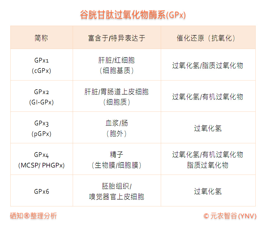 硒的提取方法