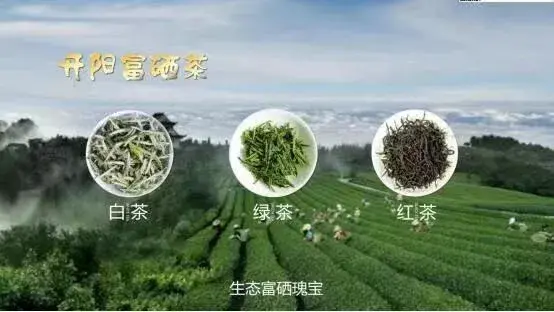 富硒药物有哪些