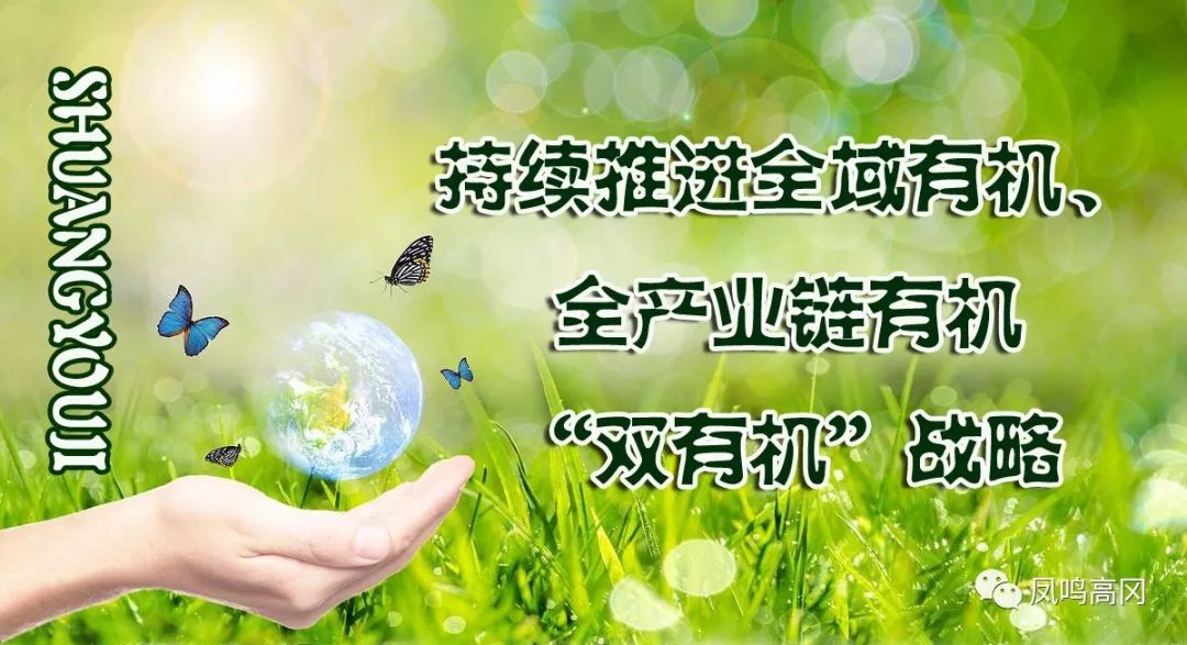 凤冈锌硒茶的功效与作用