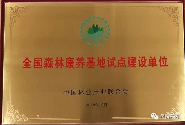凤冈锌硒茶的功效与作用