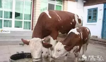 缺硒有什么症状用什么去补