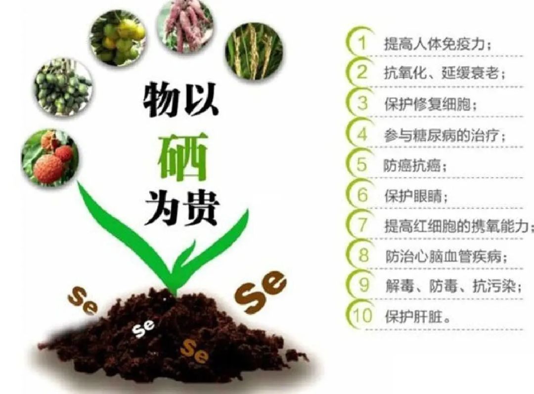 硒元素怎么补