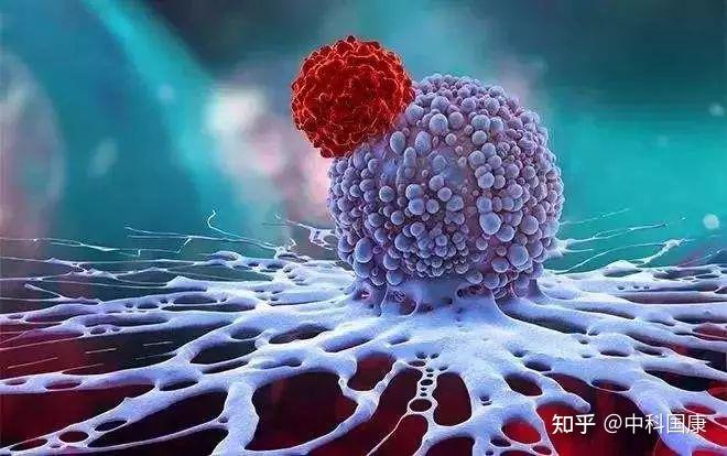 女性补硒有什么副作用