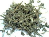 藤茶