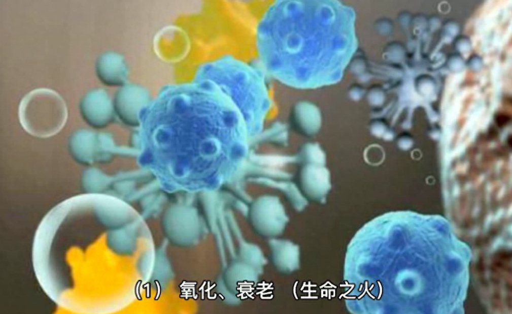 硒的副作用和补硒的好处