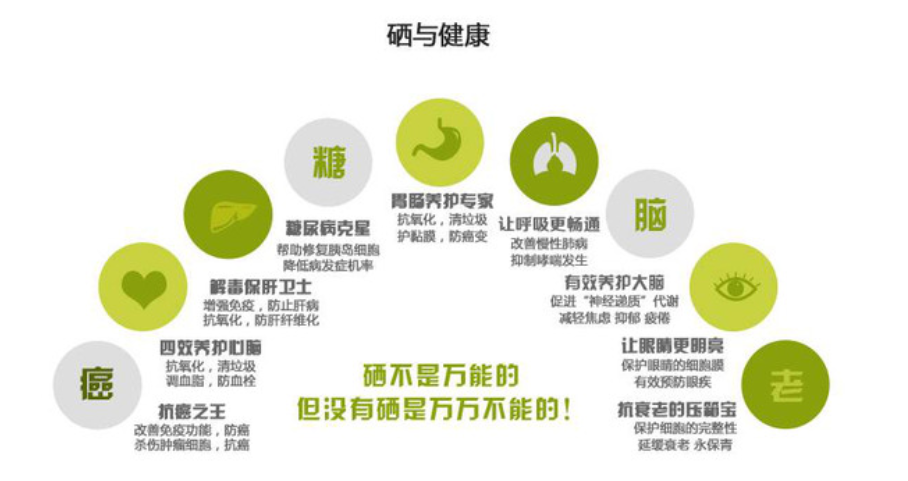 补硒的蔬菜有哪些