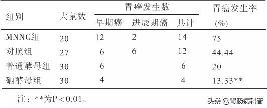 人为什么补硒