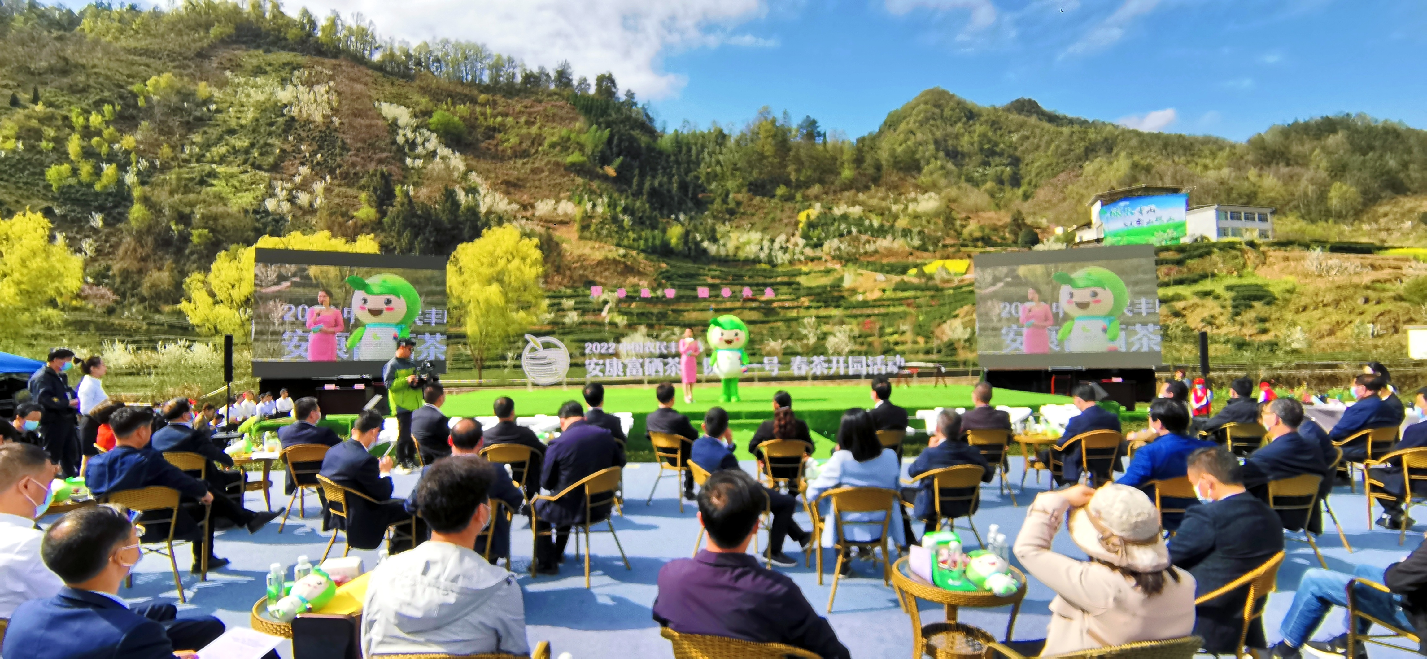 安康富硒茶陕茶一号