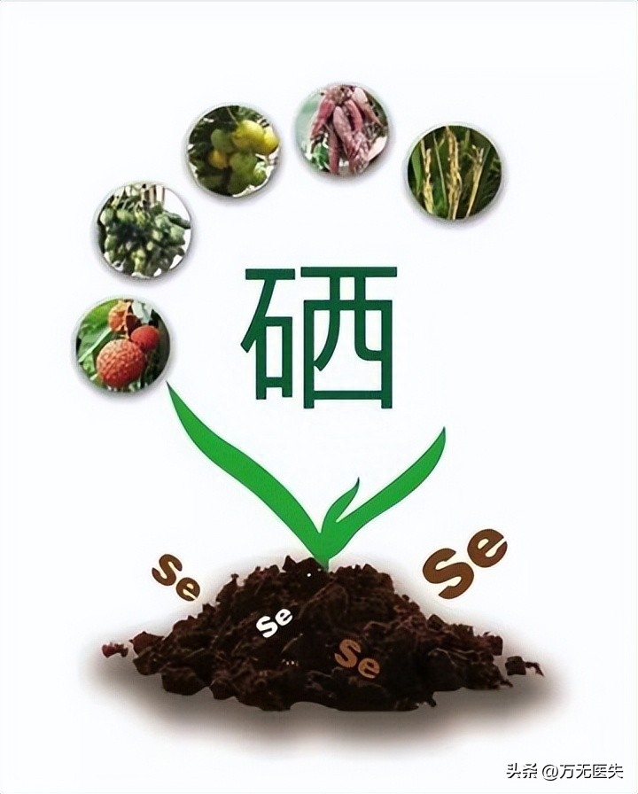成人每天补多少硒