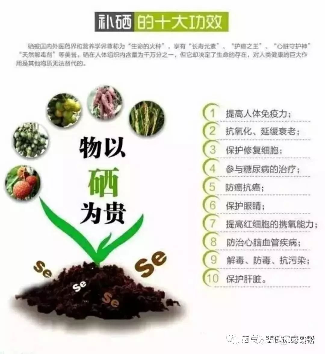 硒补多了会怎样