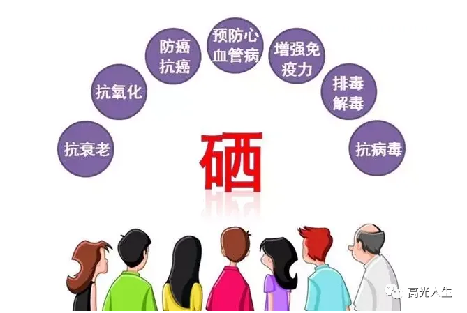 补硒吃哪种硒好