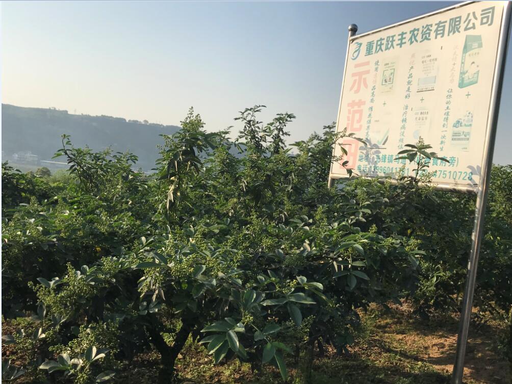 十大富硒地区