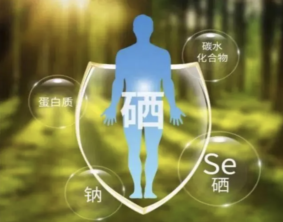硒元素需要补吗