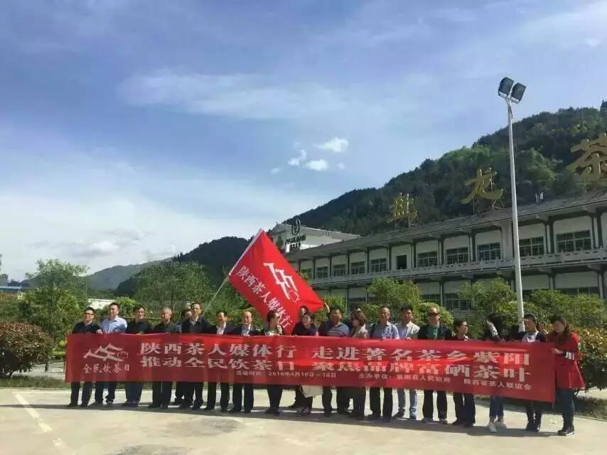 陕西富硒茶产地