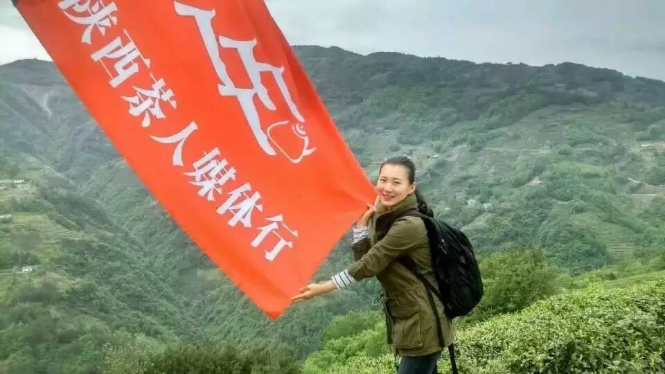 陕西富硒茶产地