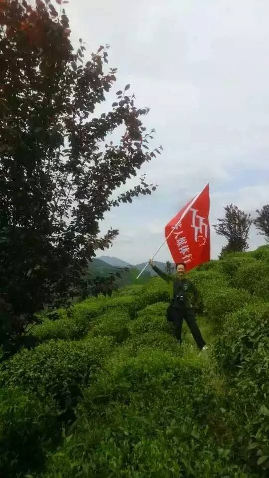 陕西富硒茶产地
