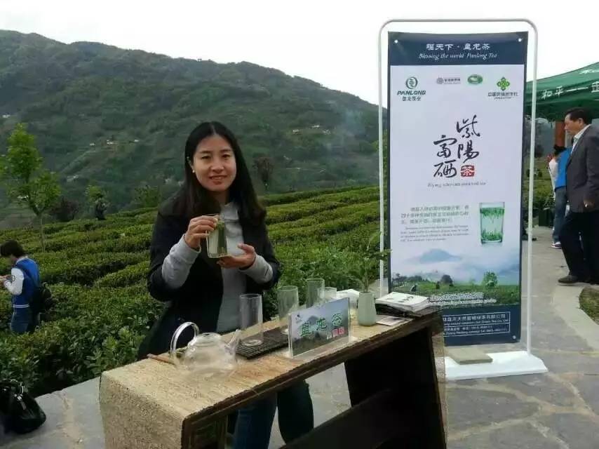 陕西富硒茶产地