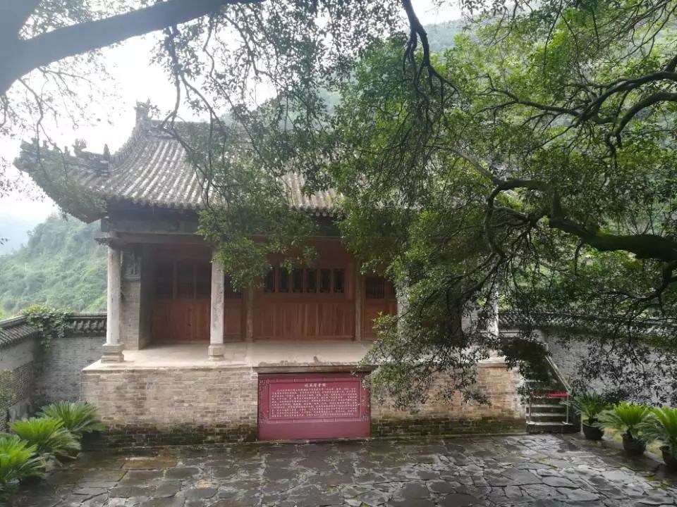 陕西富硒茶产地