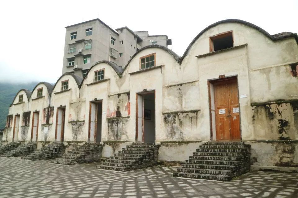 陕西富硒茶产地
