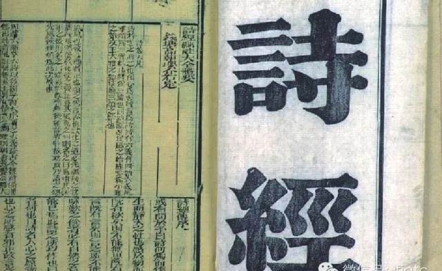 藤茶是不是茶