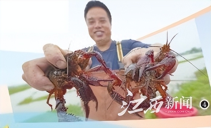 江西宜春富硒农产品有哪些