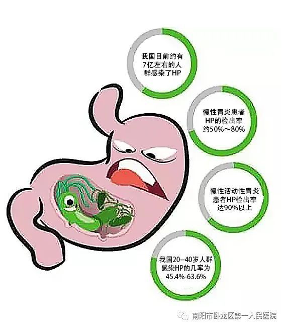 补硒对胃有什么好处