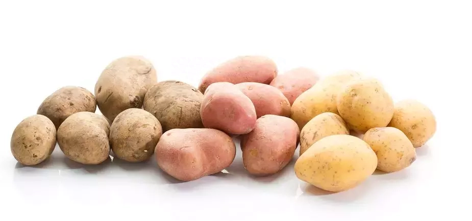 恩施富硒鸡蛋