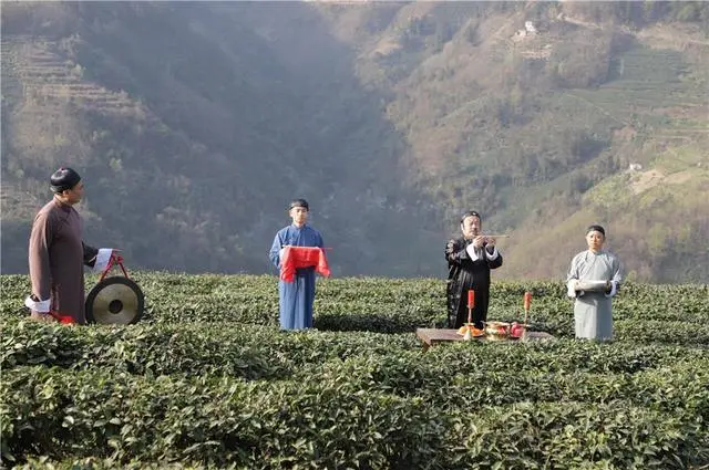 紫阳天然富硒茶
