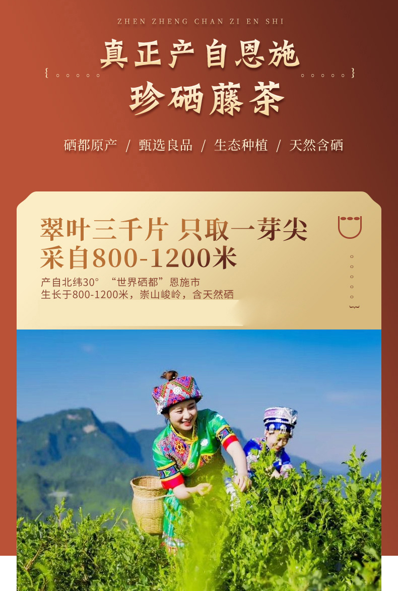 恩施的富硒茶