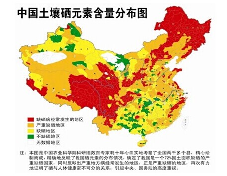 怎么科学补硒