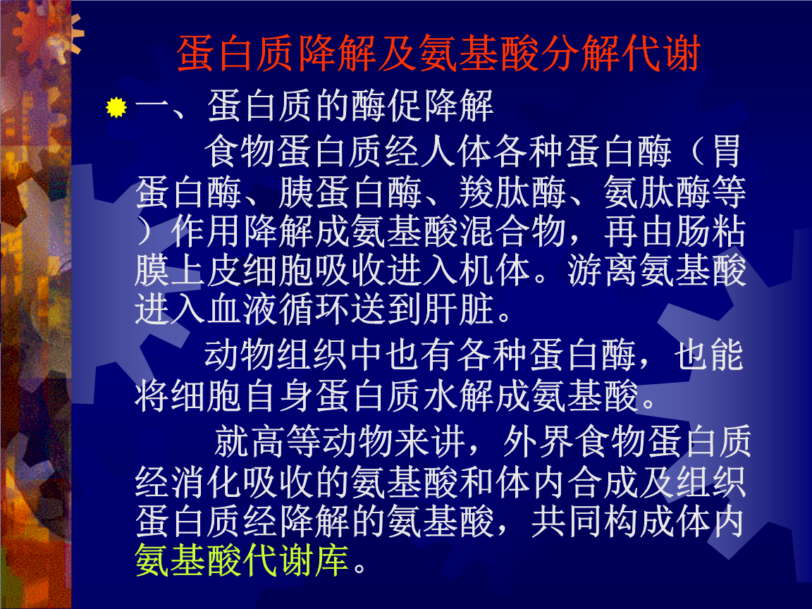 什么食物补充硒