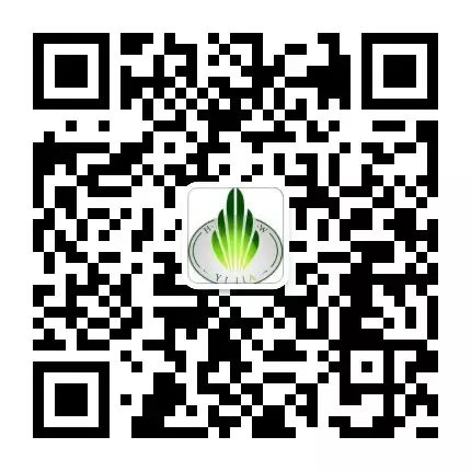 富硒地瓜是转基因的吗