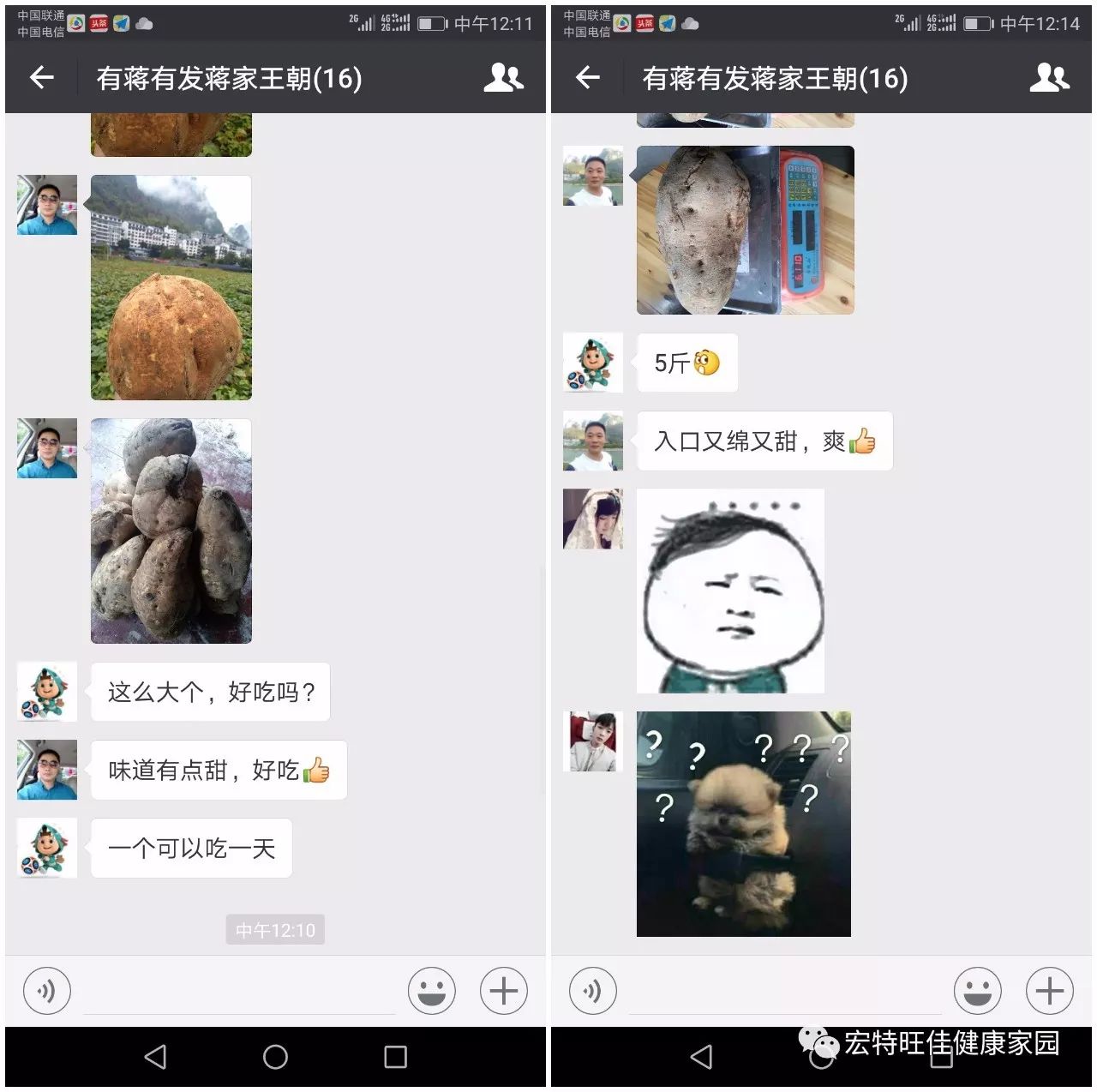 富硒地瓜是转基因的吗