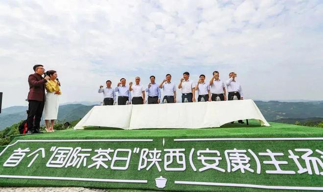 紫阳富硒茶有哪些种类