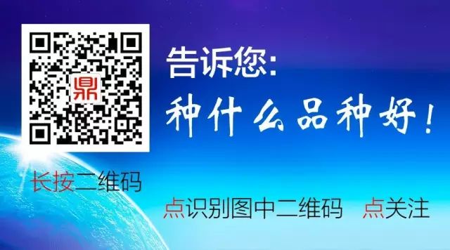 富硒地瓜是转基因的吗