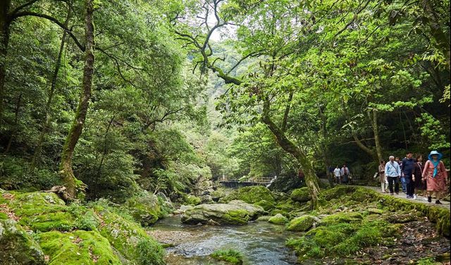 大山村富硒村农家住宿
