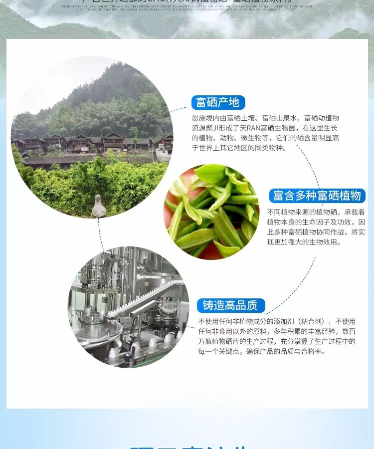 富硒植物蛋白片的功效