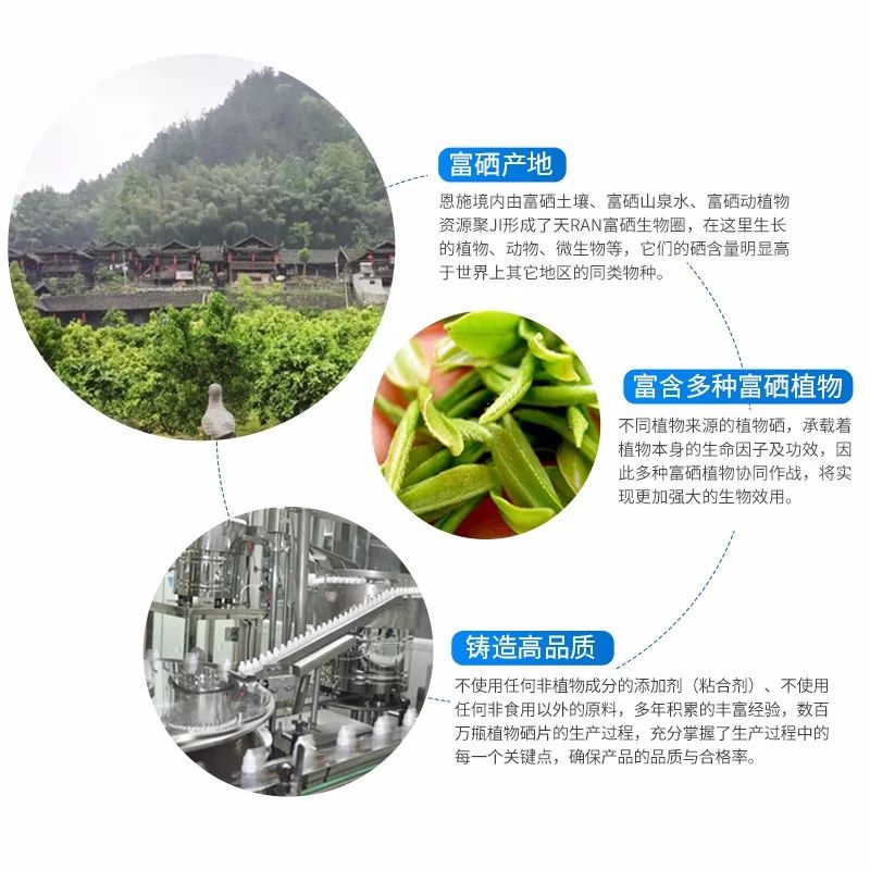 富硒植物蛋白片的功效