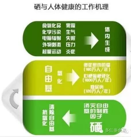 补硒可以提高精子活力