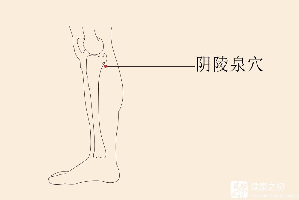 透析患者如何补硒补钙