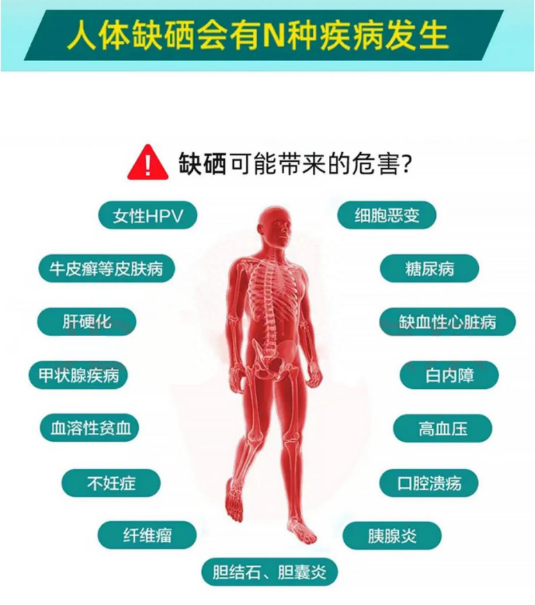 补硒后有哪些调理反应