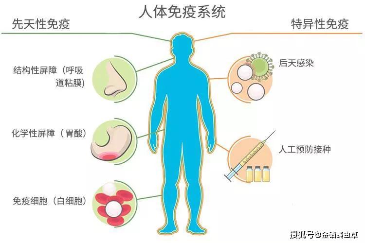 补硒是可以提高白细胞