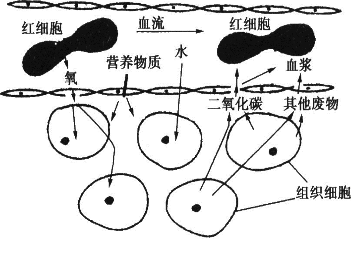 补硒后降低血液粘稠吗