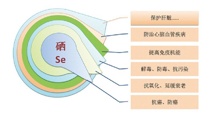 人体补硒的好处和作用