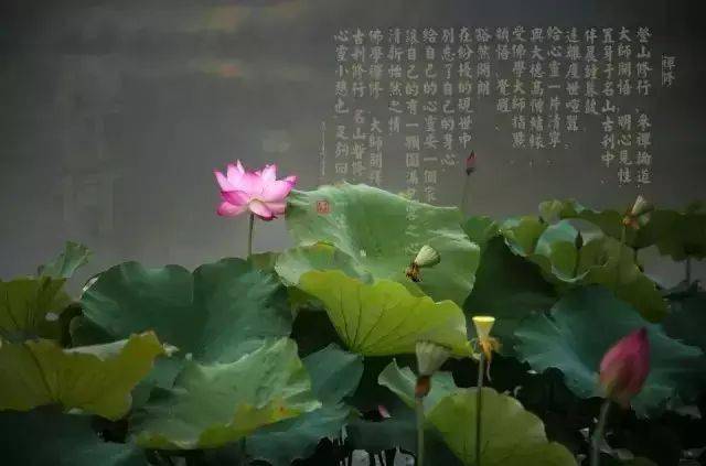 补硒后为什么牙龈出血