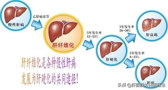 肝炎补硒吃什么素菜好